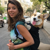 Corgi Backpack