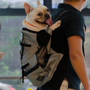 Corgi Backpack