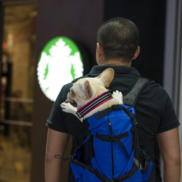 Corgi Backpack