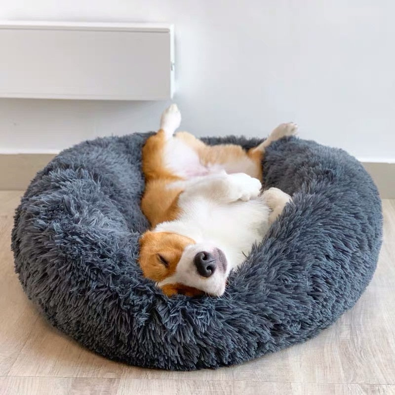 Luxury Corgi Fluffy Bed