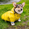 Stylish Corgi Raincoat