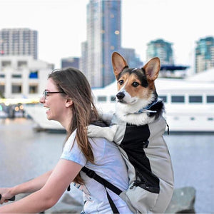 Corgi dog outlet backpack